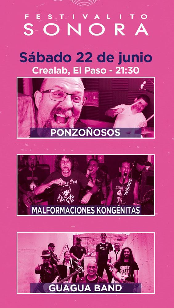 Los conciertos del Festivalito La Palma (noche de punk rock)